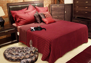 Two of StoneHaven's needy pets share a "super comfy" habitat Silverstone designed herself.